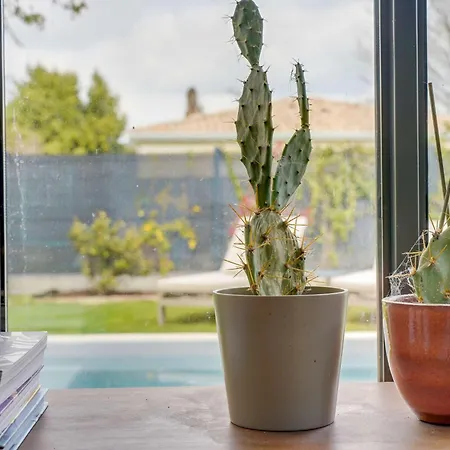 Cacahuète Hébergement de vacances